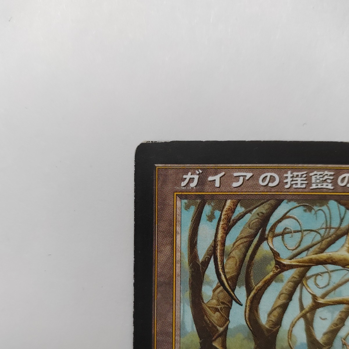 MTG ガイアの揺籃の地　日本語_画像3