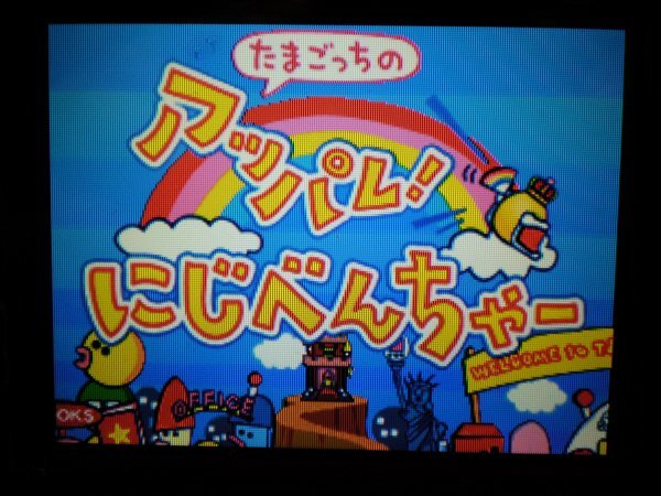 DS　たまごっちのプチプチおみせっち＋ピチピチおみせっち＋チャレンジ＋にじべんちゃ＋コレクション＋チャンネル　お買得９本セット_画像10