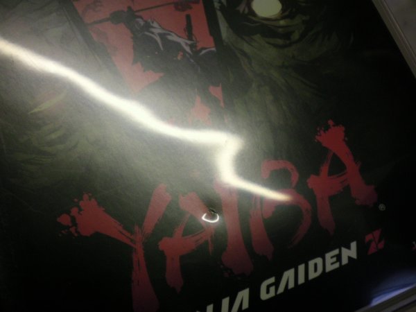 PS3　YAIBA：NINJA GAIDEN Z　(ケース・解説書付)_画像2