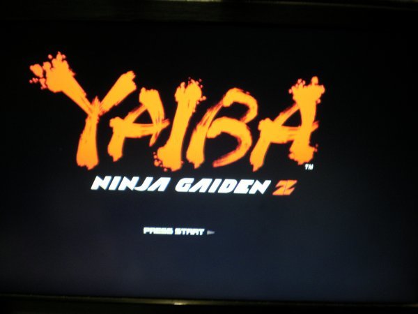 PS3　YAIBA：NINJA GAIDEN Z　(ケース・解説書付)_画像5