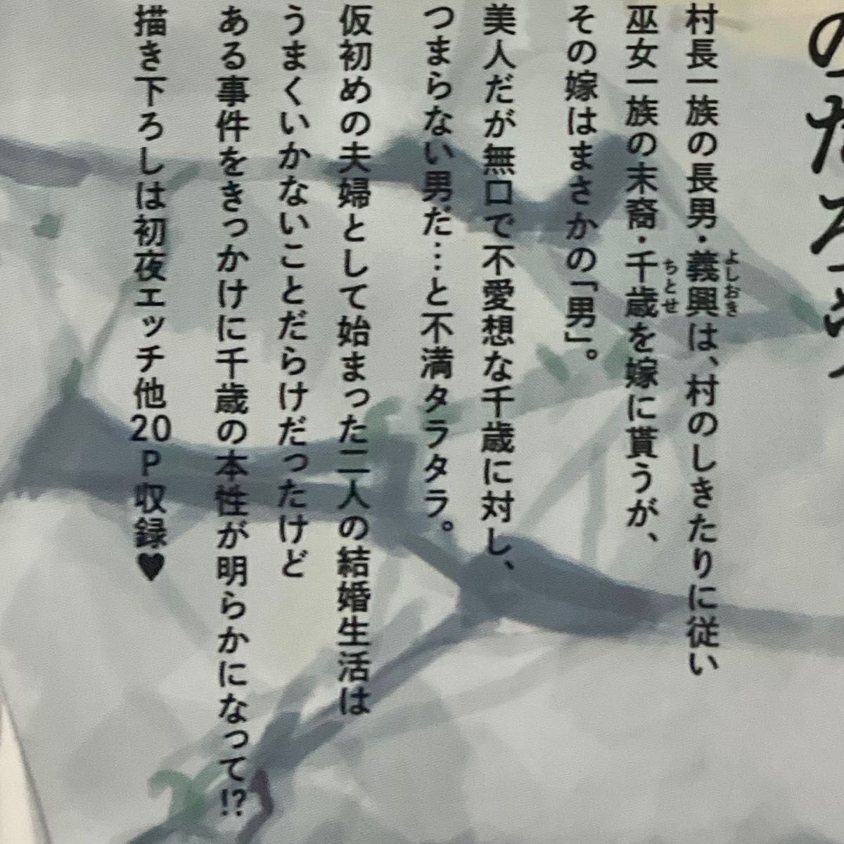 【2023年発行本】巫の嫁入り(かんなぎのよめいり)  川野暁子《帯あり》