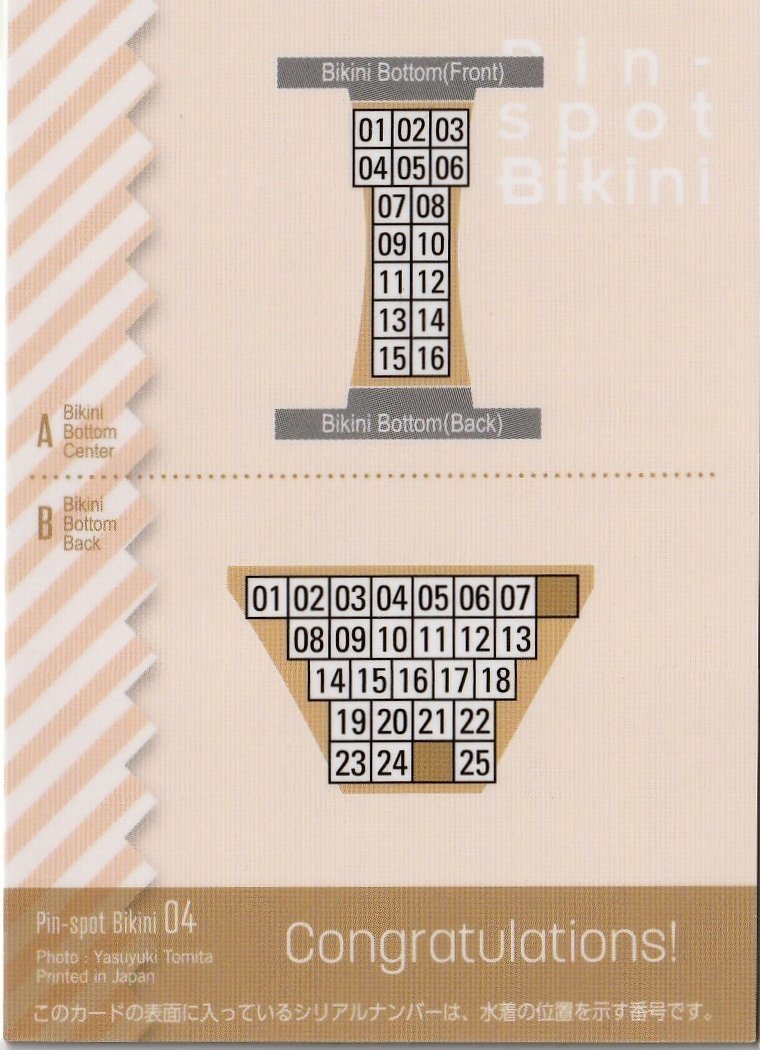 [. рисовое поле 100 .Vol.2]15/25 булавка spo бикини карта 04( хлеб ti задний ) коллекционная карточка 