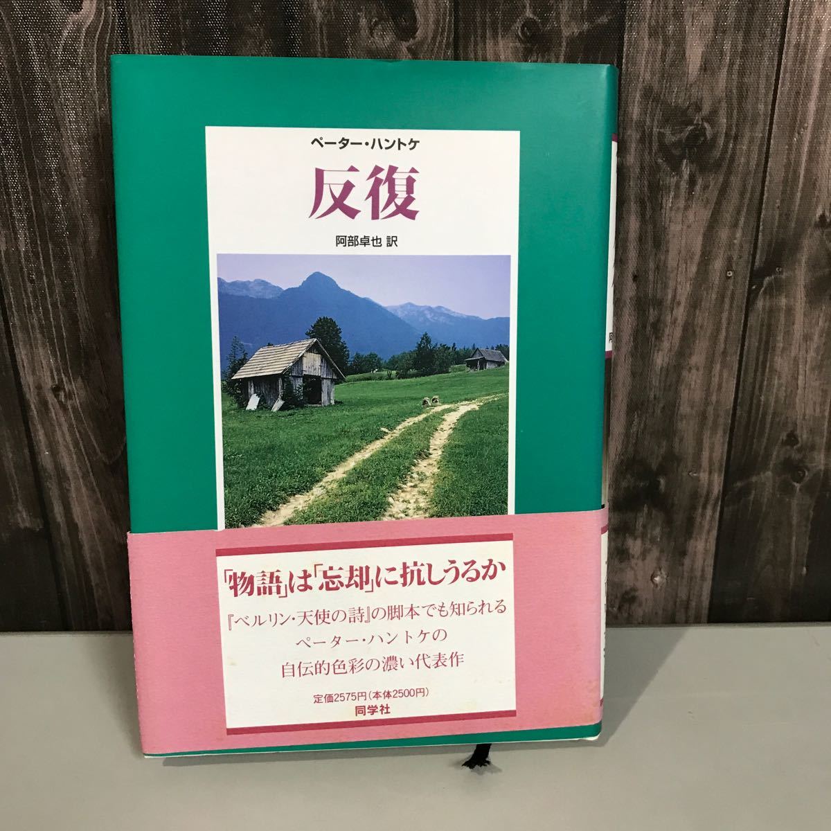 稀少●反復 ペーターハントケ (著) 阿部卓也 (訳) 同学社 ドイツ文学 抒情的長編 大戦中に行方不明になった兄の足跡を反復する旅に●6819_画像1