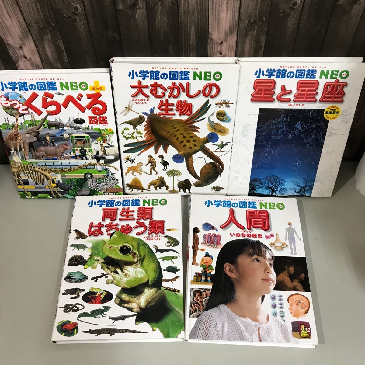 児童書 19冊 セット●大型本 小学館の図鑑 NEO 学研の図鑑 ポプラディア大図鑑 伝記 ネオ 読み聞かせ 大昔の生物 両生類 昆虫●A3207-13_画像5