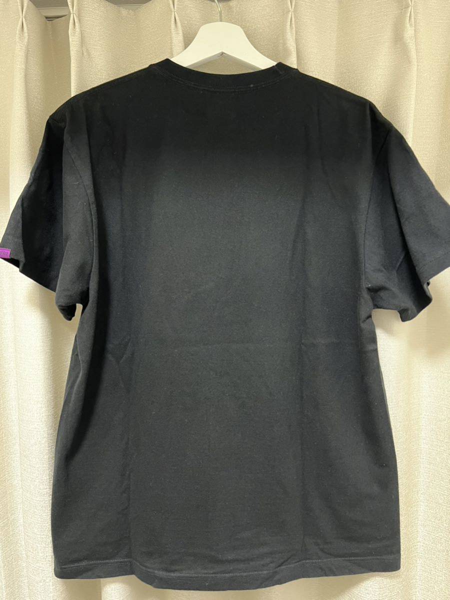 FR2 Tシャツ（半袖）　撫子_画像3