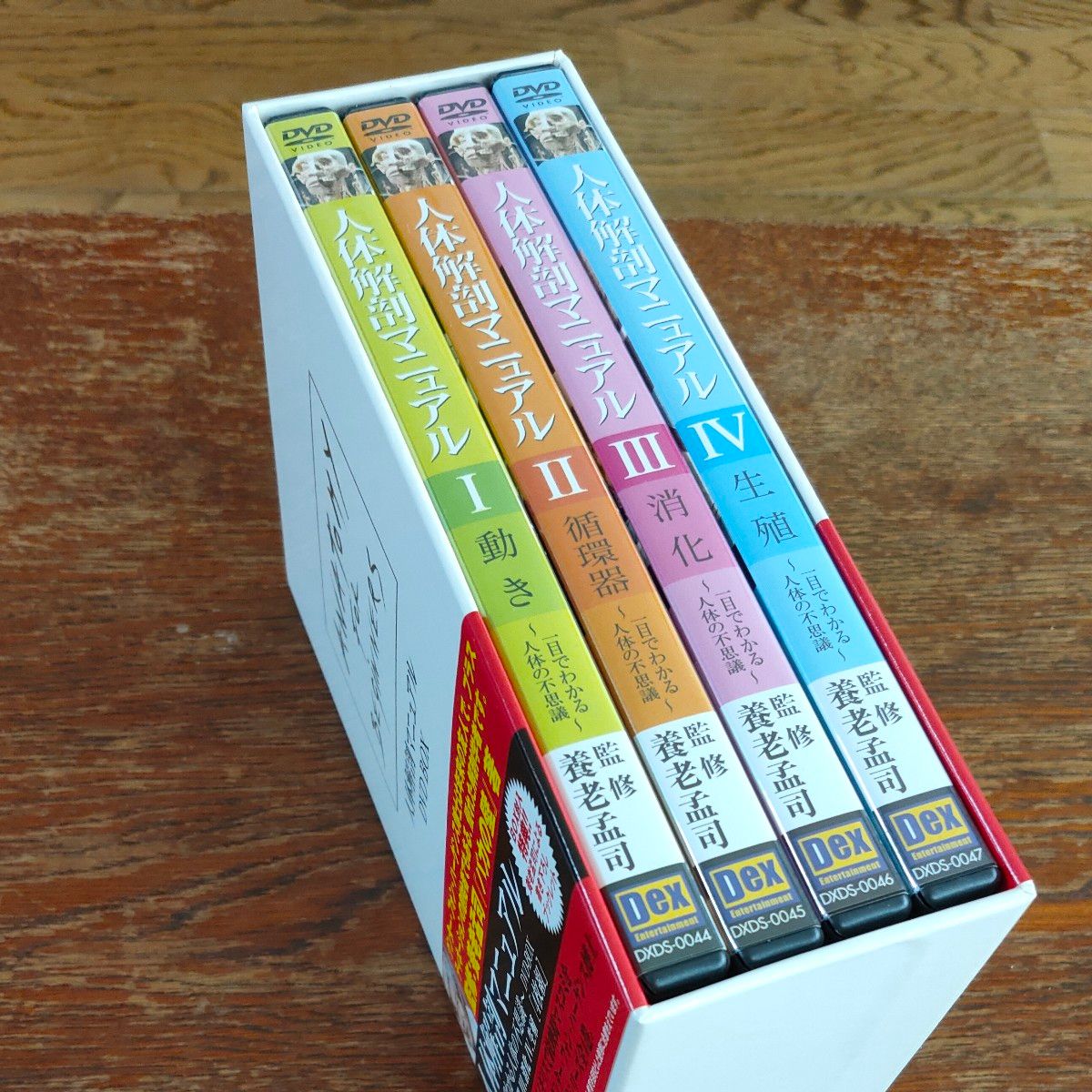 送料無料 「人体解剖マニュアル」DVD BOX 養老孟司監修 グンター 送料無料 「人体解剖マニュアル」DVD BOX 養老孟司監修 グンター
