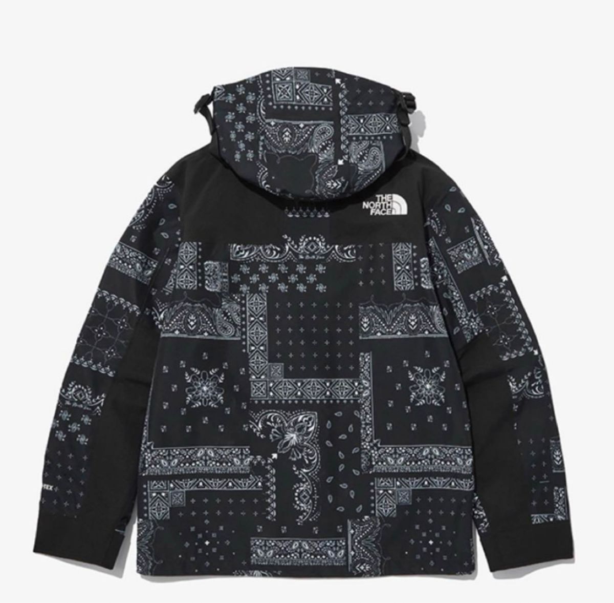 海外限定】THE NORTH FACE NOVELTY GTX MOUNTAIN JACKET|Yahoo 海外限定】THE NORTH FACE NOVELTY GTX MOUNTAIN JACKET|Yahoo
