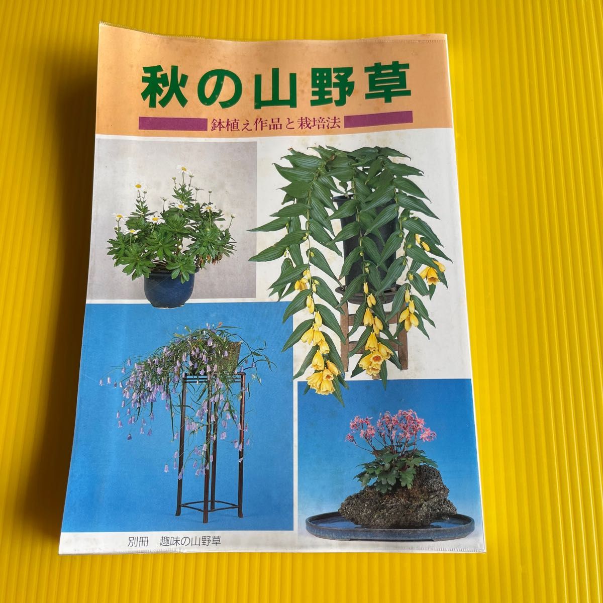 秋の山野草