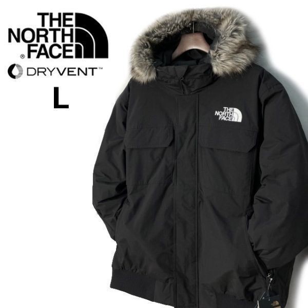 1円～!売切!【正規新品】THE NORTH FACE◆MCMURDO BOMBER JACKET◆マクマードボンバー ダウンジャケット US限定 新作 撥水(L)黒 190122-175_画像3