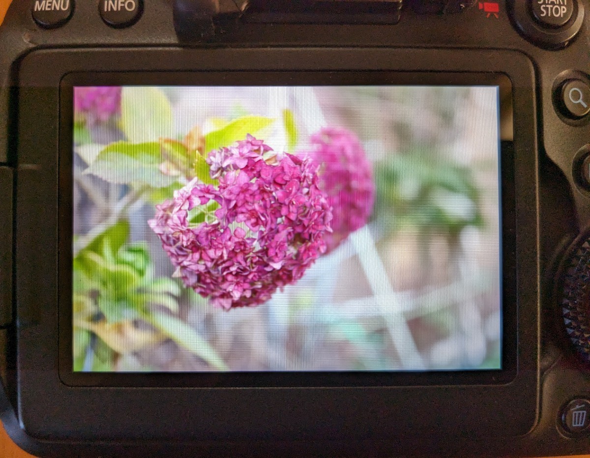 キヤノン EF24-70F2.8L 完動品 _画像5