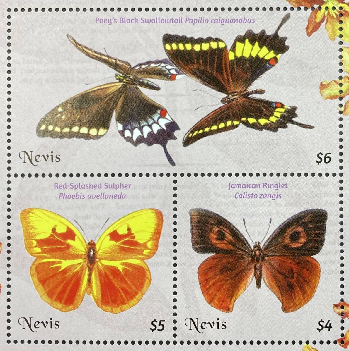ne screw 2018 year issue butterfly insect stamp (2) unused NH