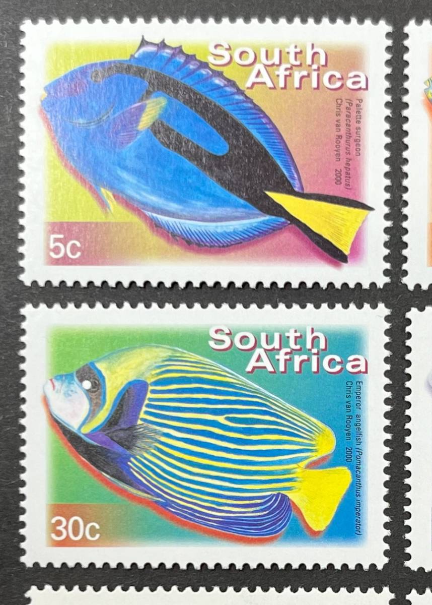 南アフリカ 2000年発行 魚 切手 未使用 NH_画像2