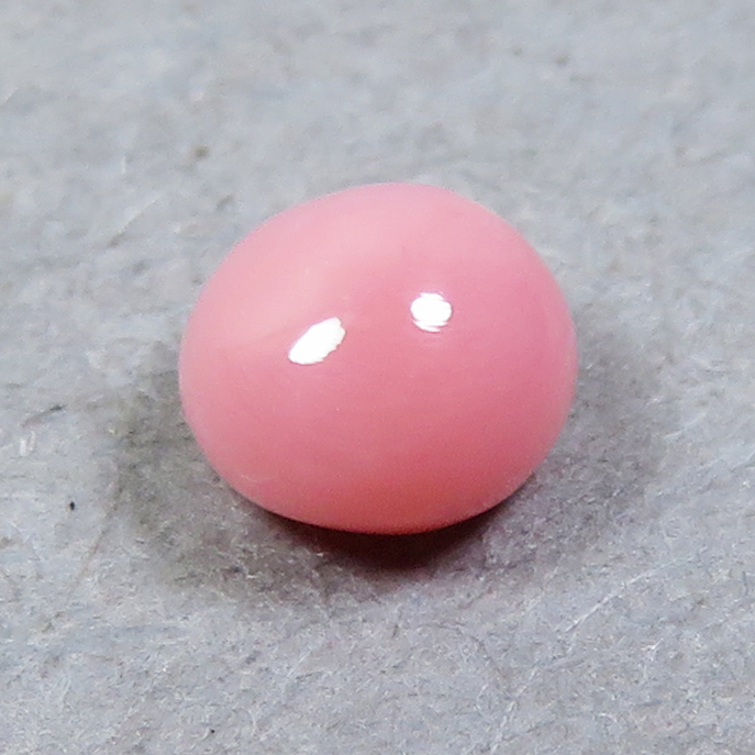 独特の上品 《shape》コンクパール(conch pearl) ルース(0.37ct) 真珠