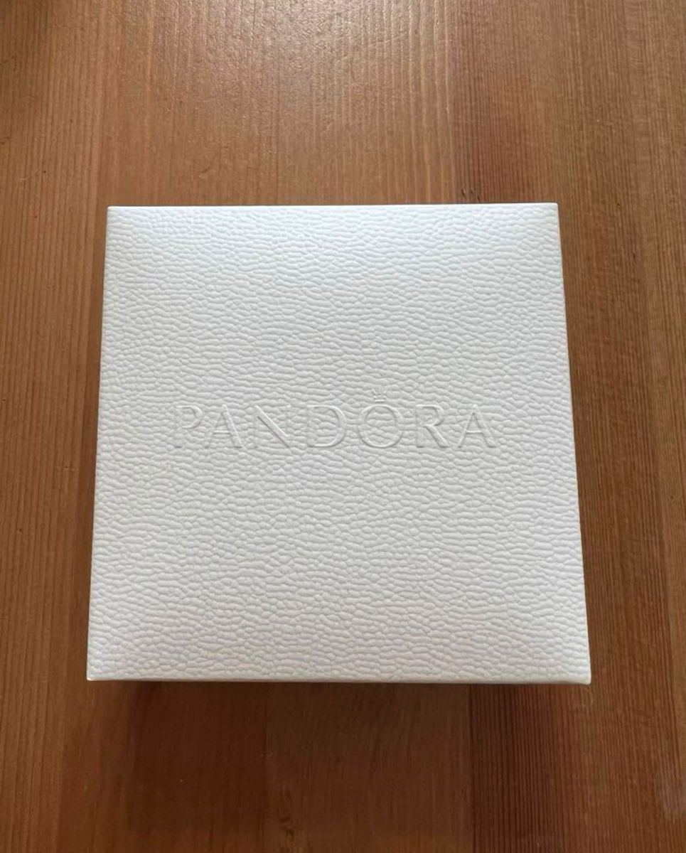 箱あり　Pandora パンドラ　サークルネックレス ネックレス シルバー SILVER トップ有