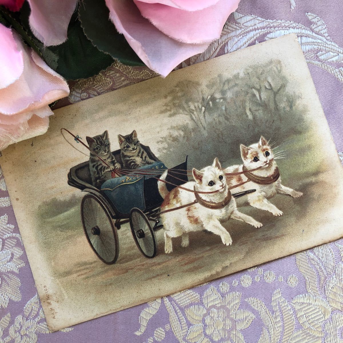 フランスアンティーク 古い絵葉書 可愛い猫馬車！ファンタジー　ロマンティック　クロモス　雑貨　インテリア_画像2