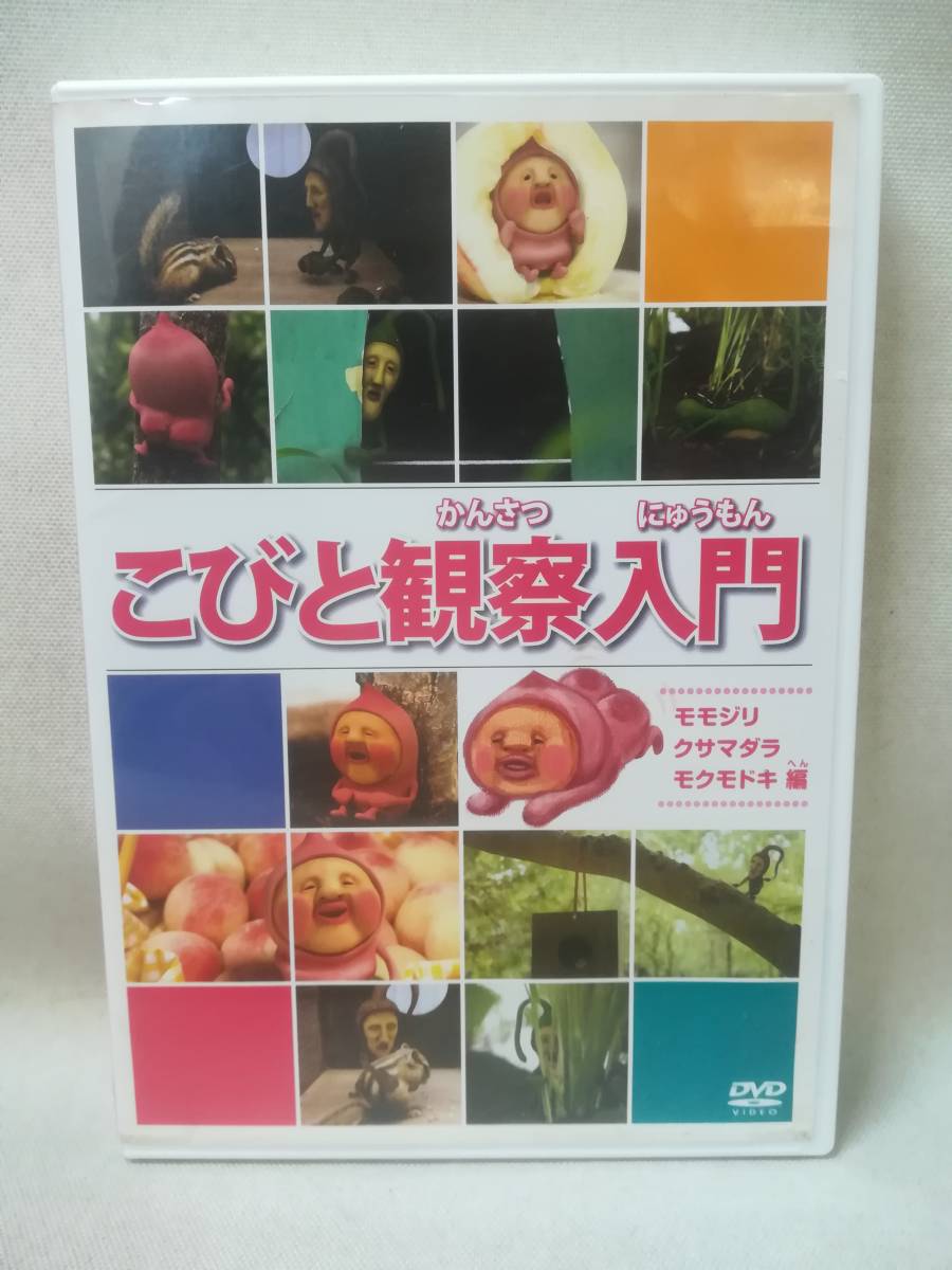 DVD『セル版 こびと観察入門 モモジリ クサマダラ モクモドキ編』なばたとしたか/絵本/子供向け/ ※現状品 10-8776_画像1