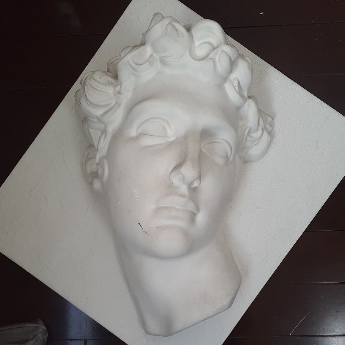 石膏像 メディチ 頭像 胸像 オブジェ 西洋彫刻 置物 デッサン 美術教材