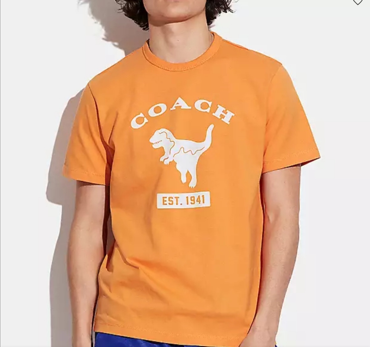 17600円★新品＆正規保証★コーチCOACH★百貨店商品★レキシー★コットンTシャツS、Mサイズあり★CA068_画像2