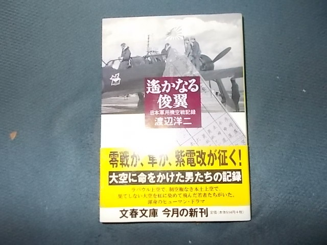 遙かなる俊翼　日本軍用機空戦記録_画像1