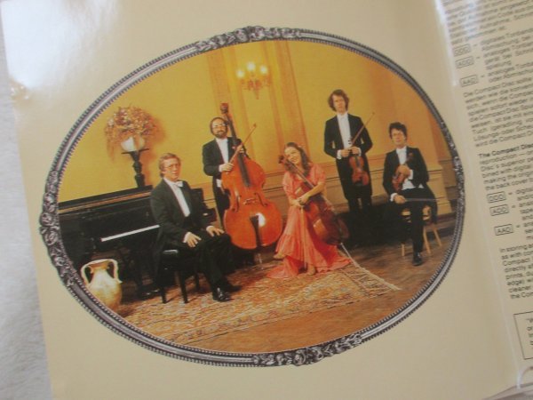 アンドレ・リュウ【CD】「Serenata」/Maastrichts Salon Orkestra 　ピアノ、ヴァイオリン2　チェロ、コントラバス_画像4