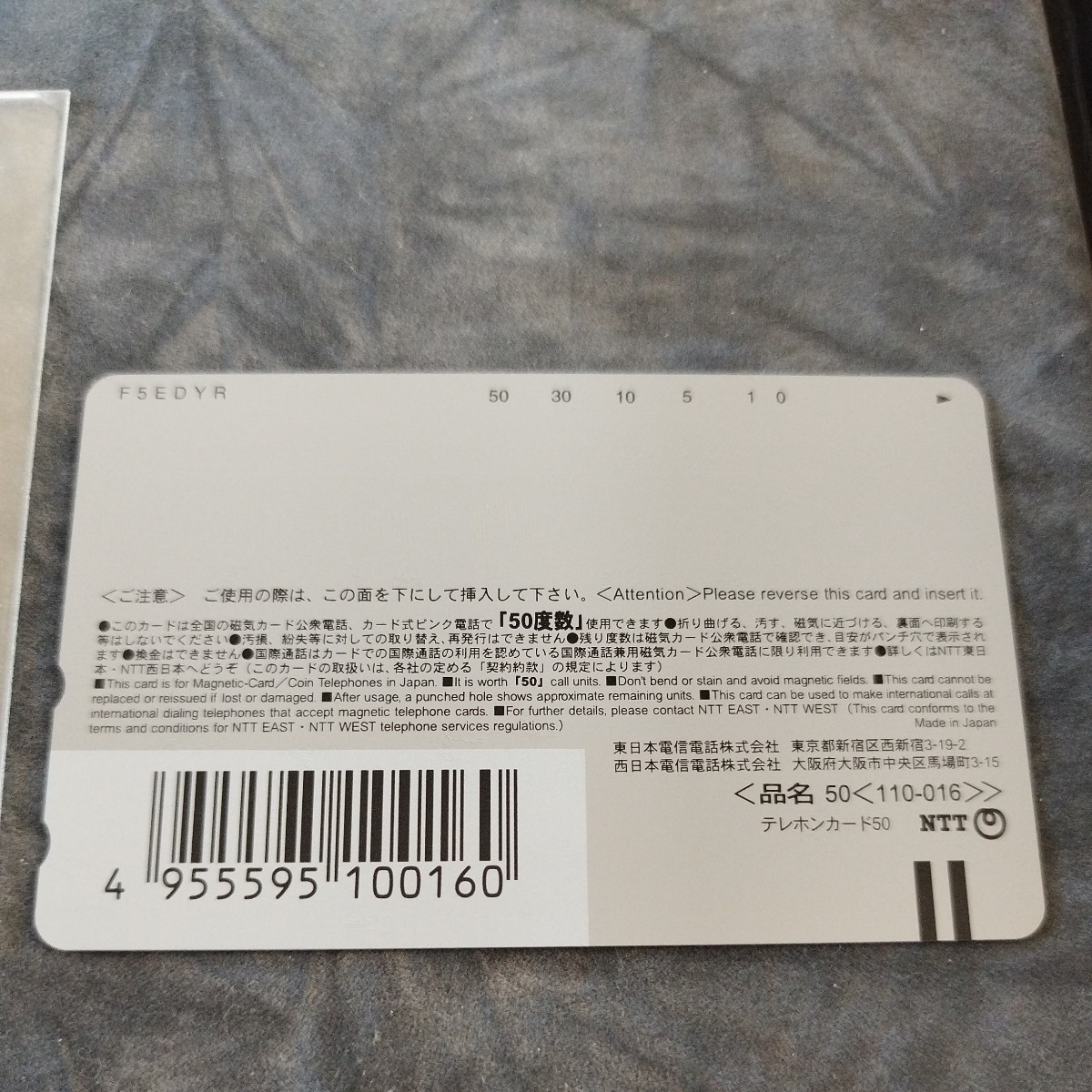 未使用　テレカ　テレホンカード50度　ほしのあき　ヴァッカ！バウハウス_画像2