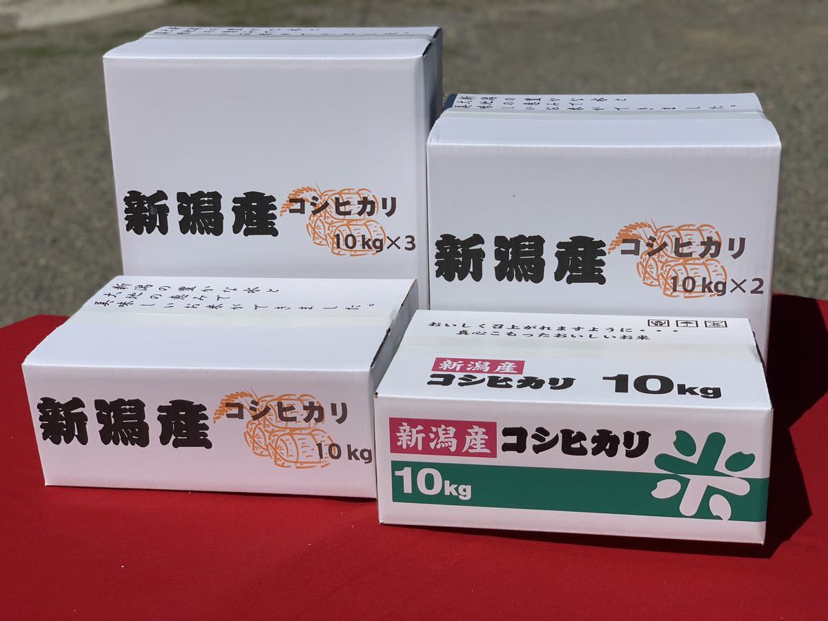 新米・令和5年産玄米新潟新之助 30kg（10kg×3）精米無料★農家直送 色彩選別済0の画像3