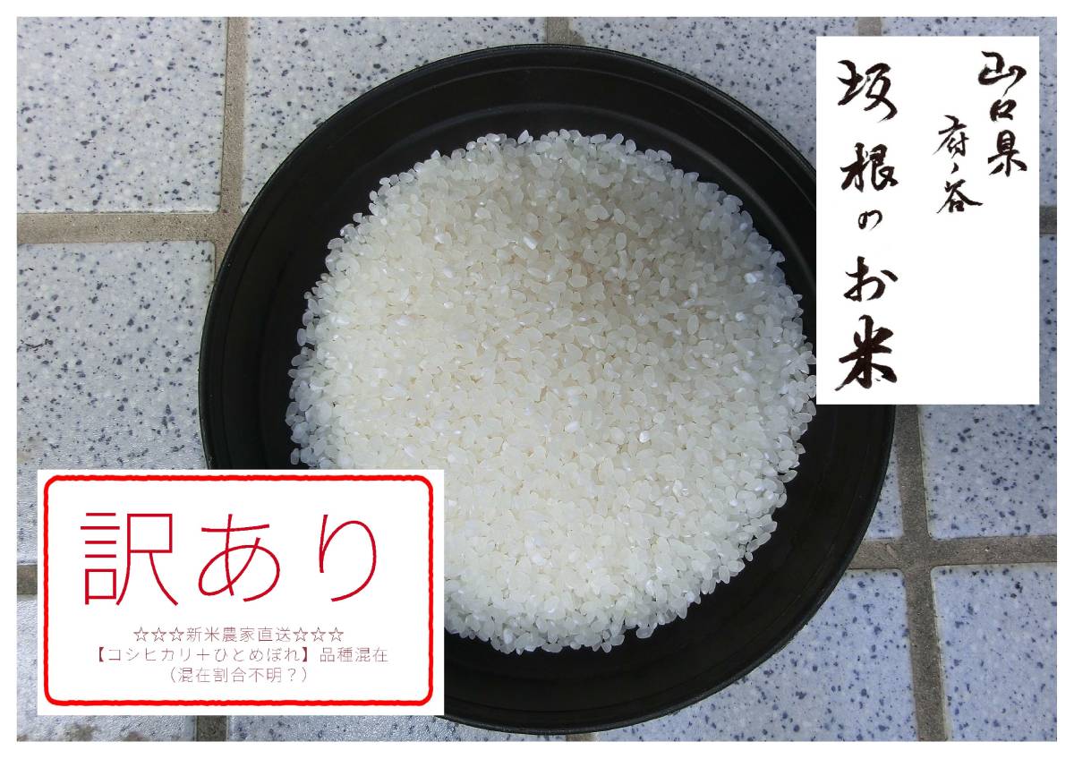 訳あり ブレンド米：№1127 送料込み 精米済 お米 白米 コシヒカリ ひとめぼれ 令和5年 新米 (お試し用 900g) ※二品種混在の訳あり新米_画像1