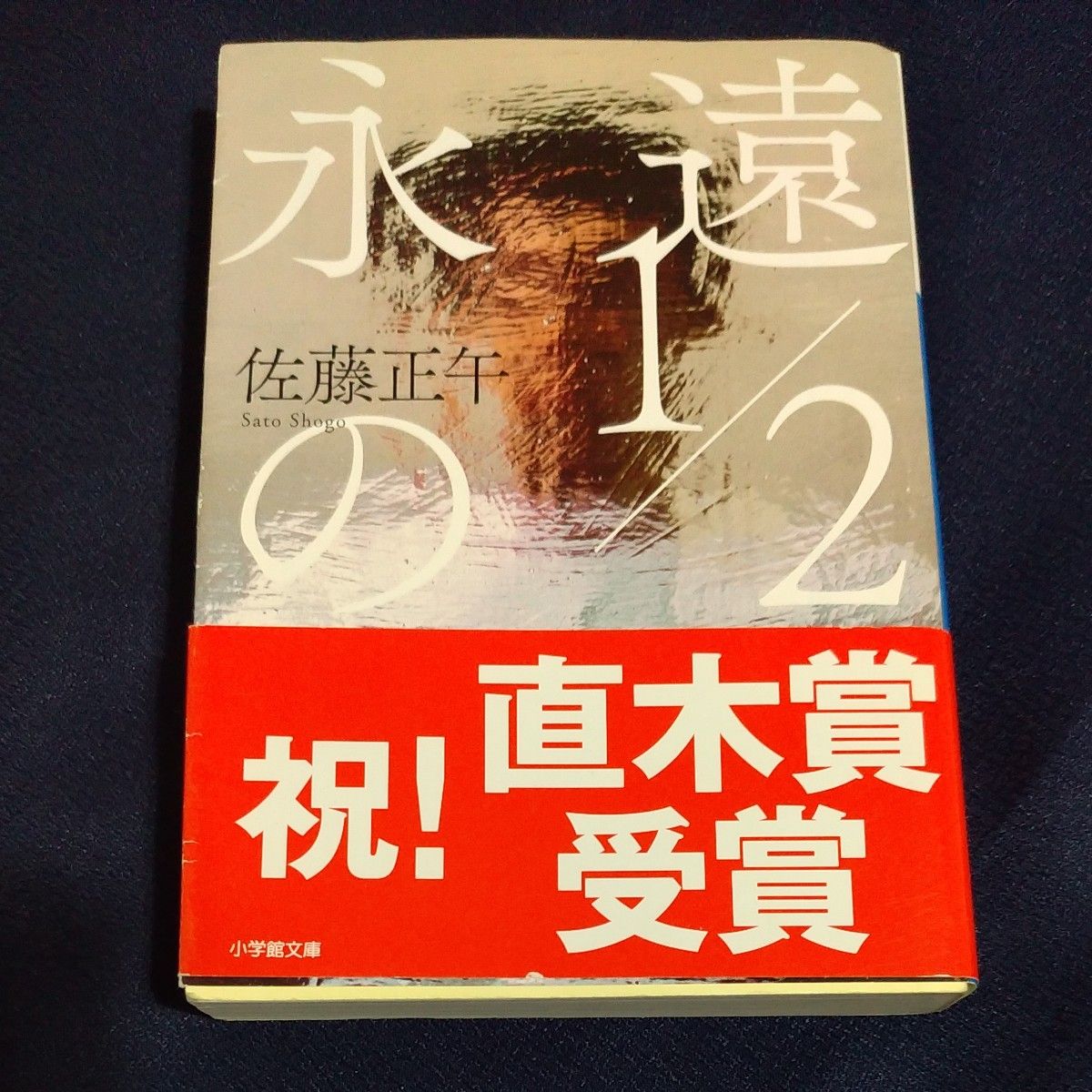 永遠の１／２ （小学館文庫　さ４－８） 佐藤正午／著