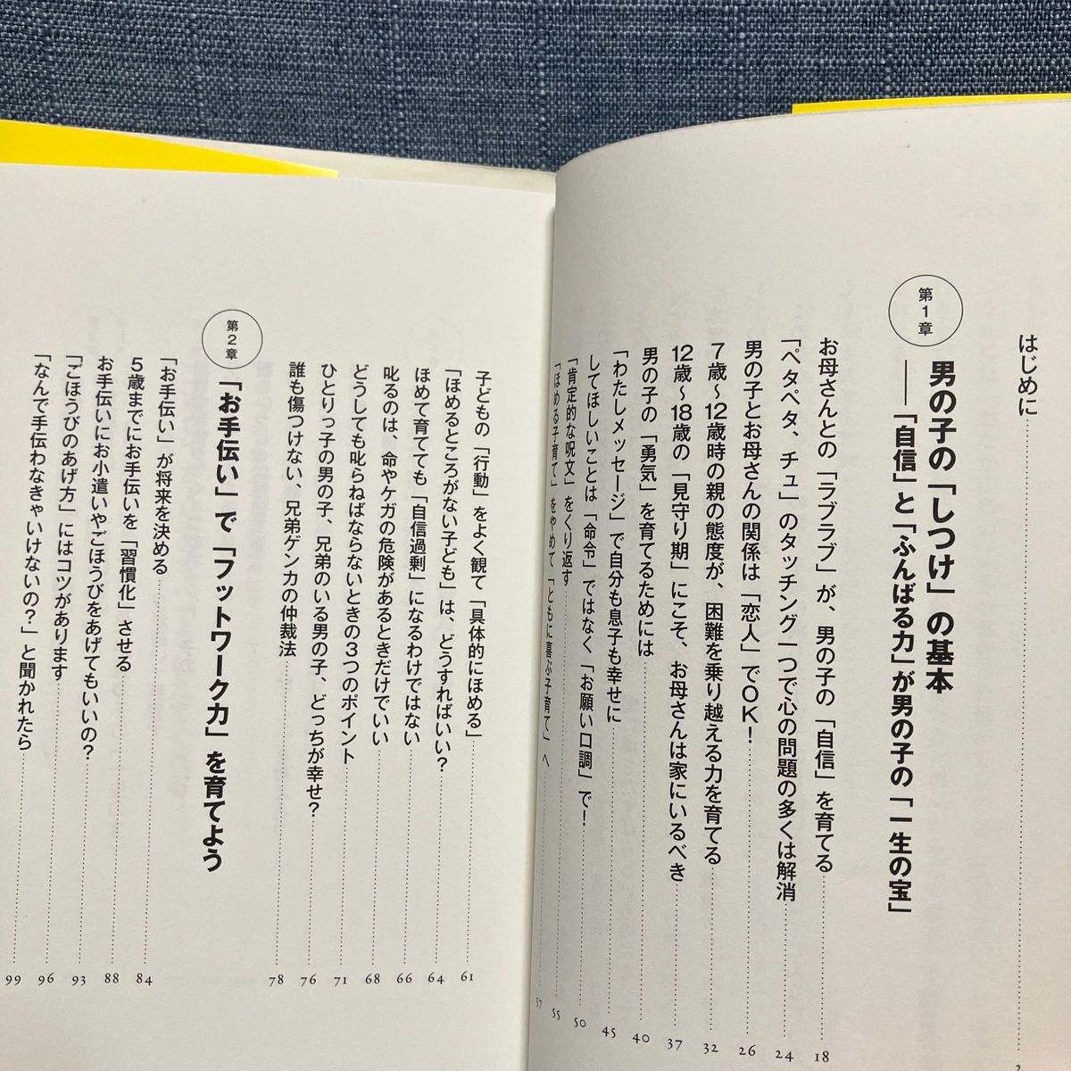 男の子の育て方　諸富祥彦