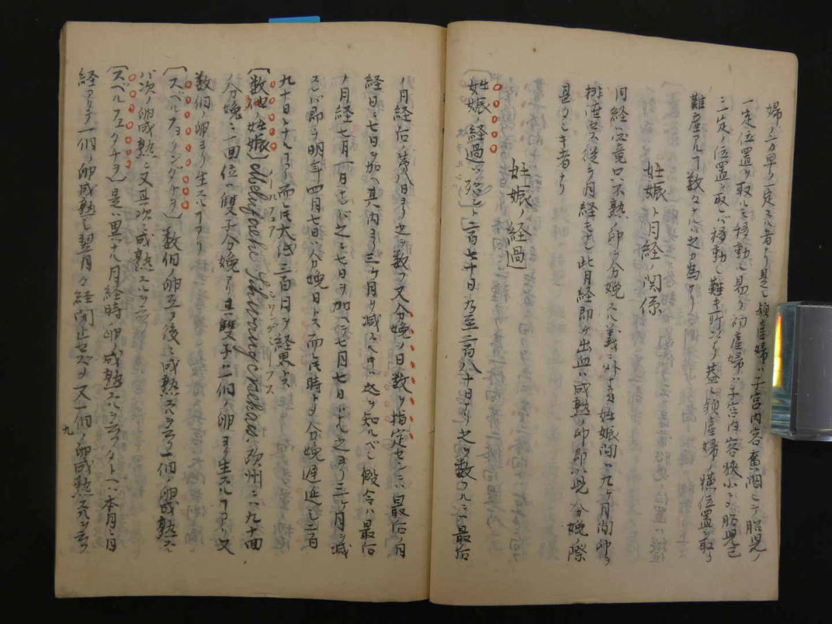 産科学　明治写　71丁　西洋医学　古文書_画像6