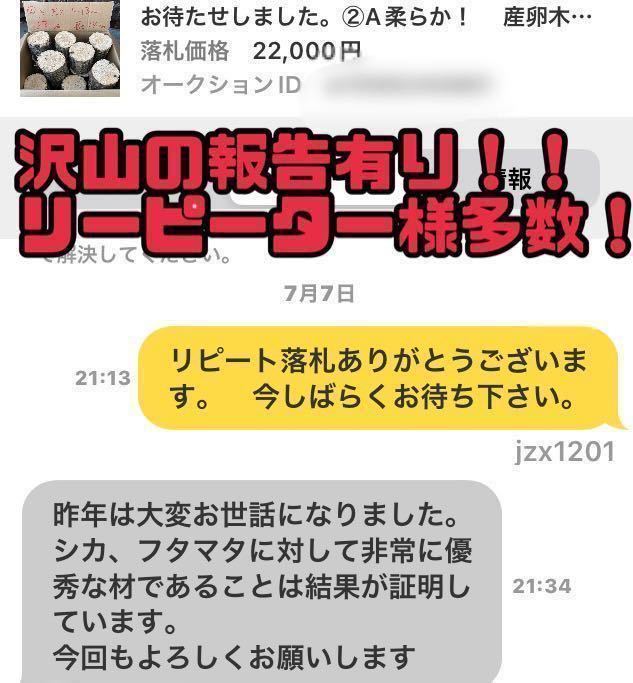 ② 柔らか　ナラ　12本　太さ10〜12cm 長さ約14 cm 椎茸原木　産卵木　千葉県_画像5