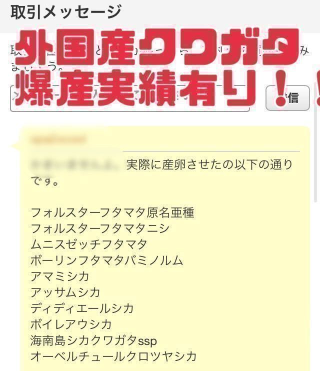 304 周り柔らか　ホペイオオクワ用 ナラ　24本　太さ10〜12cm 長さ約14 cm 椎茸原木　産卵木　千葉県_画像3