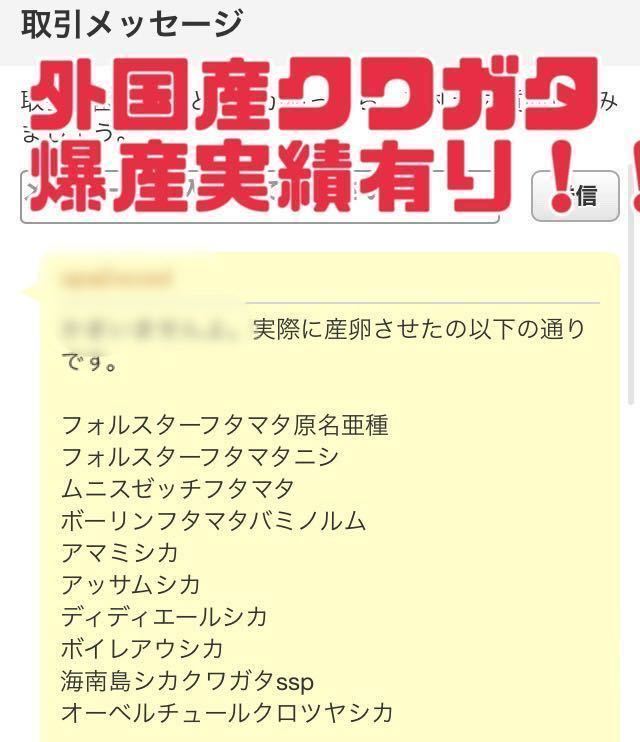 ① 柔らか　ナラ　12本　太さ10〜12cm 長さ約14 cm 椎茸原木　産卵木　千葉県_画像4