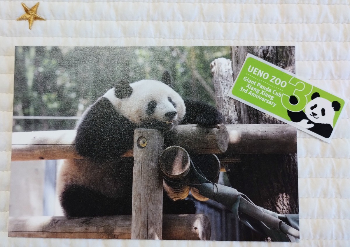 1064日齢　シャンシャン『 上野動物園公式ポストカード & 3歳ステッカー 』　パンダ xiangxiang Yahoo!フリマ（旧）