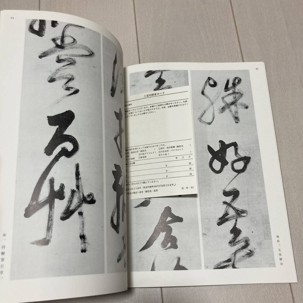 C 1999年発行 書道 和本 「条幅名品選2 倪元」_画像4