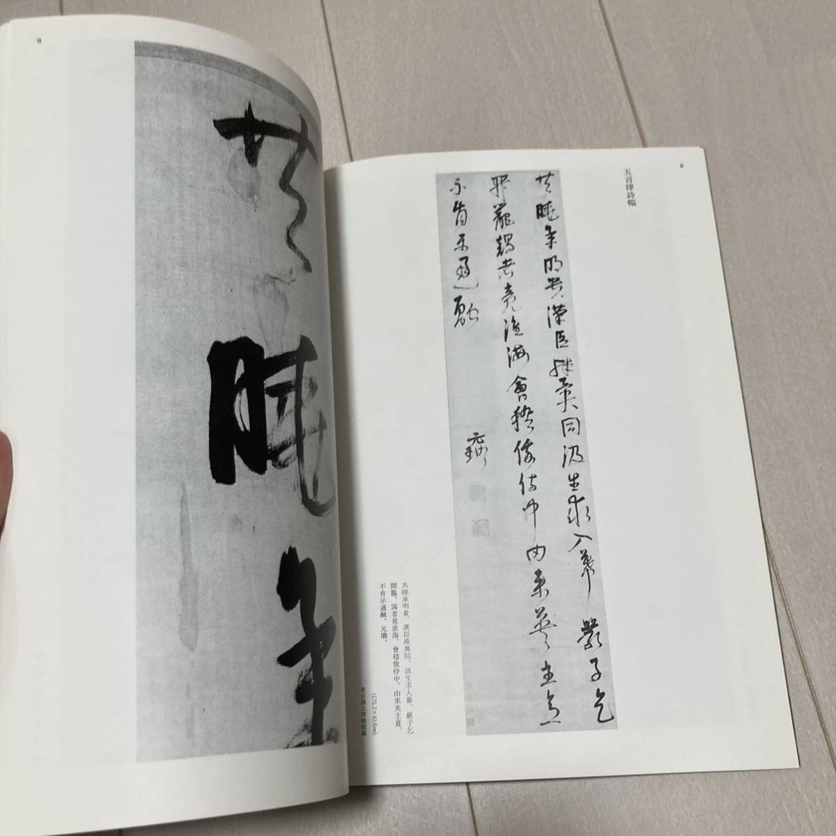 C 1999年発行 書道 和本 「条幅名品選2 倪元」_画像3