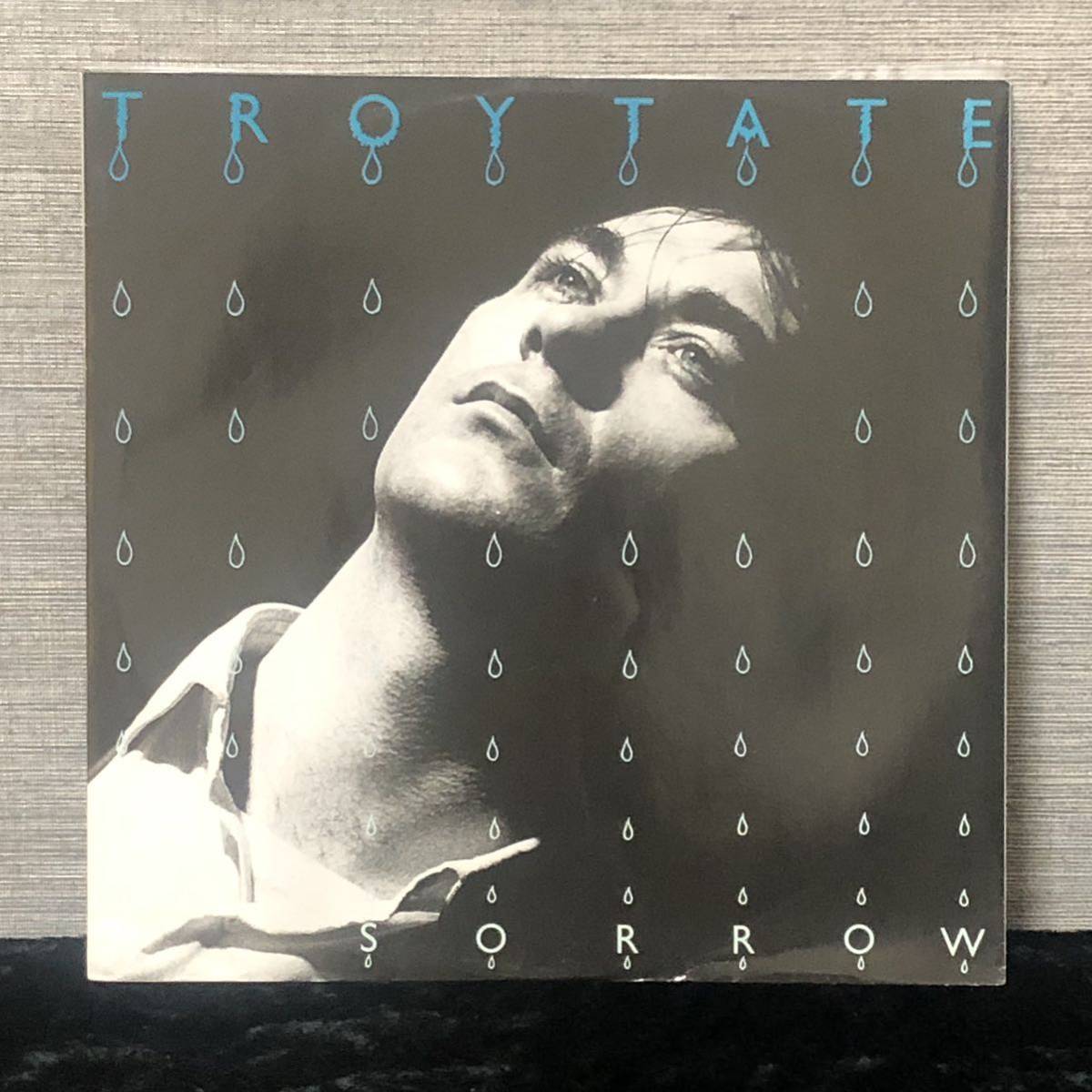 TROY TATE - SORROW (12) NEW WAVE Teardrop Exploads Fashion The Turquoise Swimming Pools_画像1