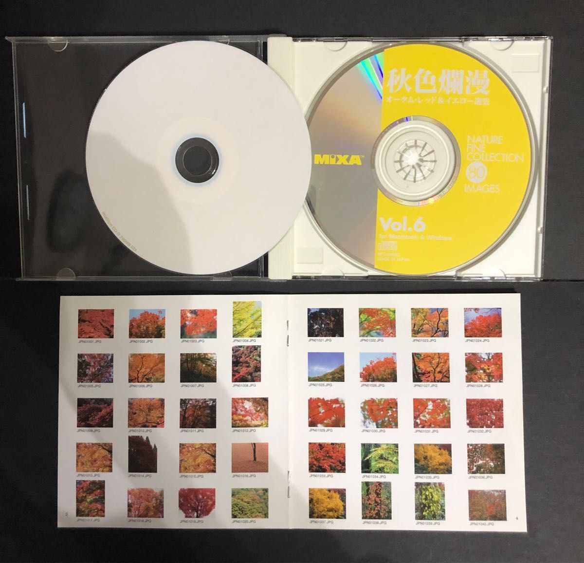 CD フリー写真(印刷、ホームページ対応) 秋色爛漫　紅葉