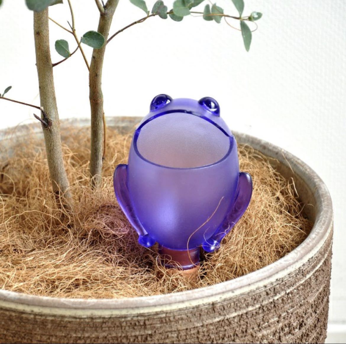 即決！未使用■scheurich シューリッヒ　FROGGY 自動給水器　オレンジ■スケルトン　カエル 観葉植物　水やり_画像3