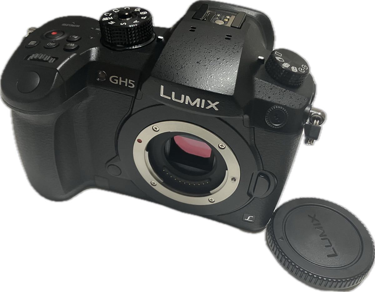 ★外観新品級★ Panasonic LUMIX RD-SPM049（GH5） ボディ#6160033_画像1