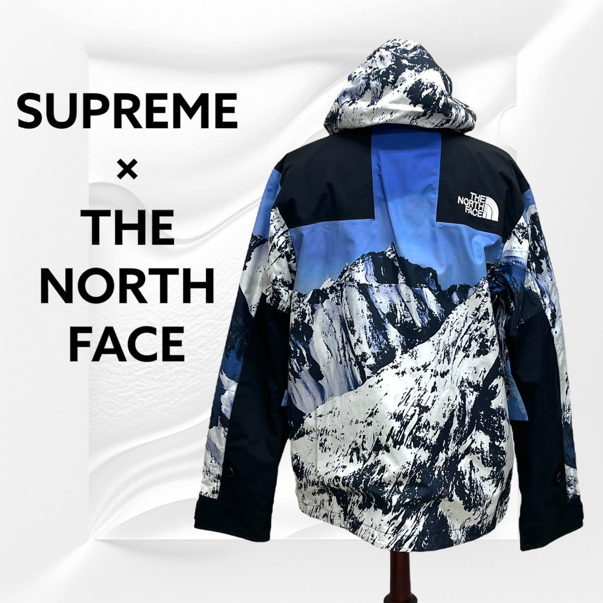 Supreme 17AW The North Face Mountain Parka シュプリーム ノースフェイス 雪山 マンパ マウンテンパーカー  メンズ NP61701I