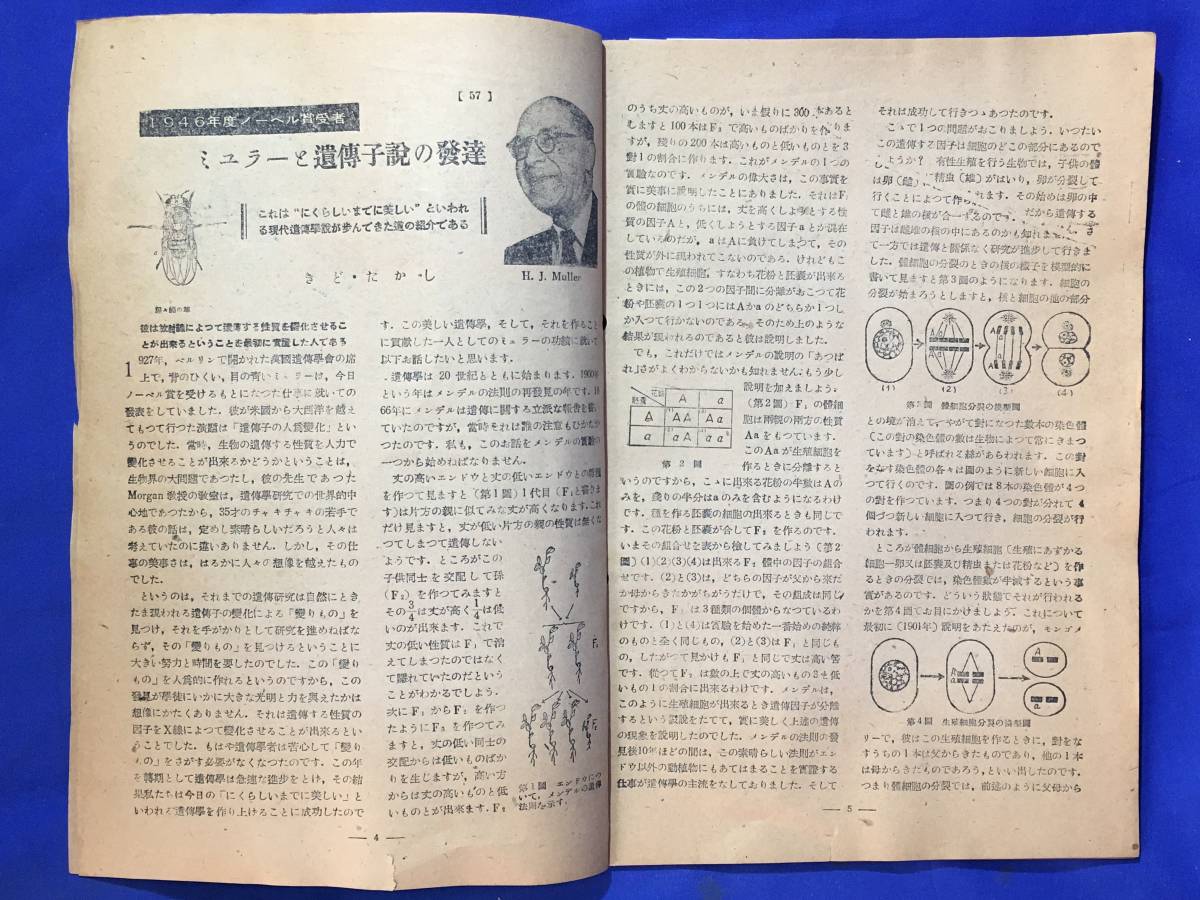 CK1799B●科学世界 1947年1月号 鳳文書林 ミュラーと遺伝子説の発達/温度と物体・凍らせる食品/原子爆弾の副産物_画像4