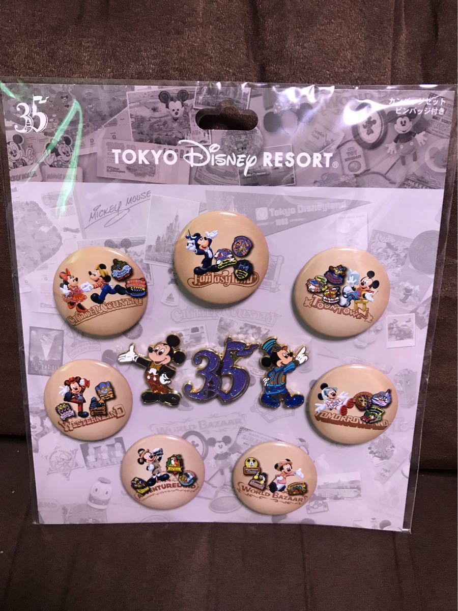 ヤフオク 新品 希少 限定 Tdr ディズニー 35周年 ピンバッ