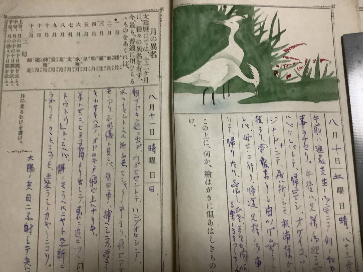 明治四十年夏期休暇高等科四學年生用小學生日誌、博文館、夏休み、日誌、明治十二年ハ月三十一日皇太子殿下御降誕、大橋新太郎_画像4