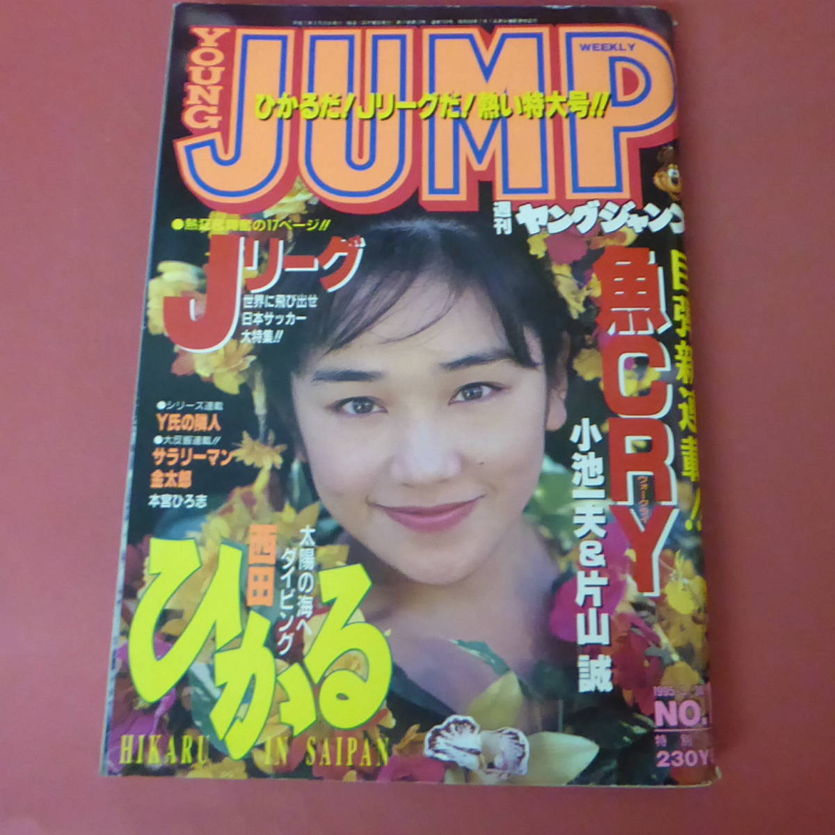 YN5-231127☆ヤングジャンプ　No.15 特大号　1995年3月30日号　表紙：西田ひかる_画像1