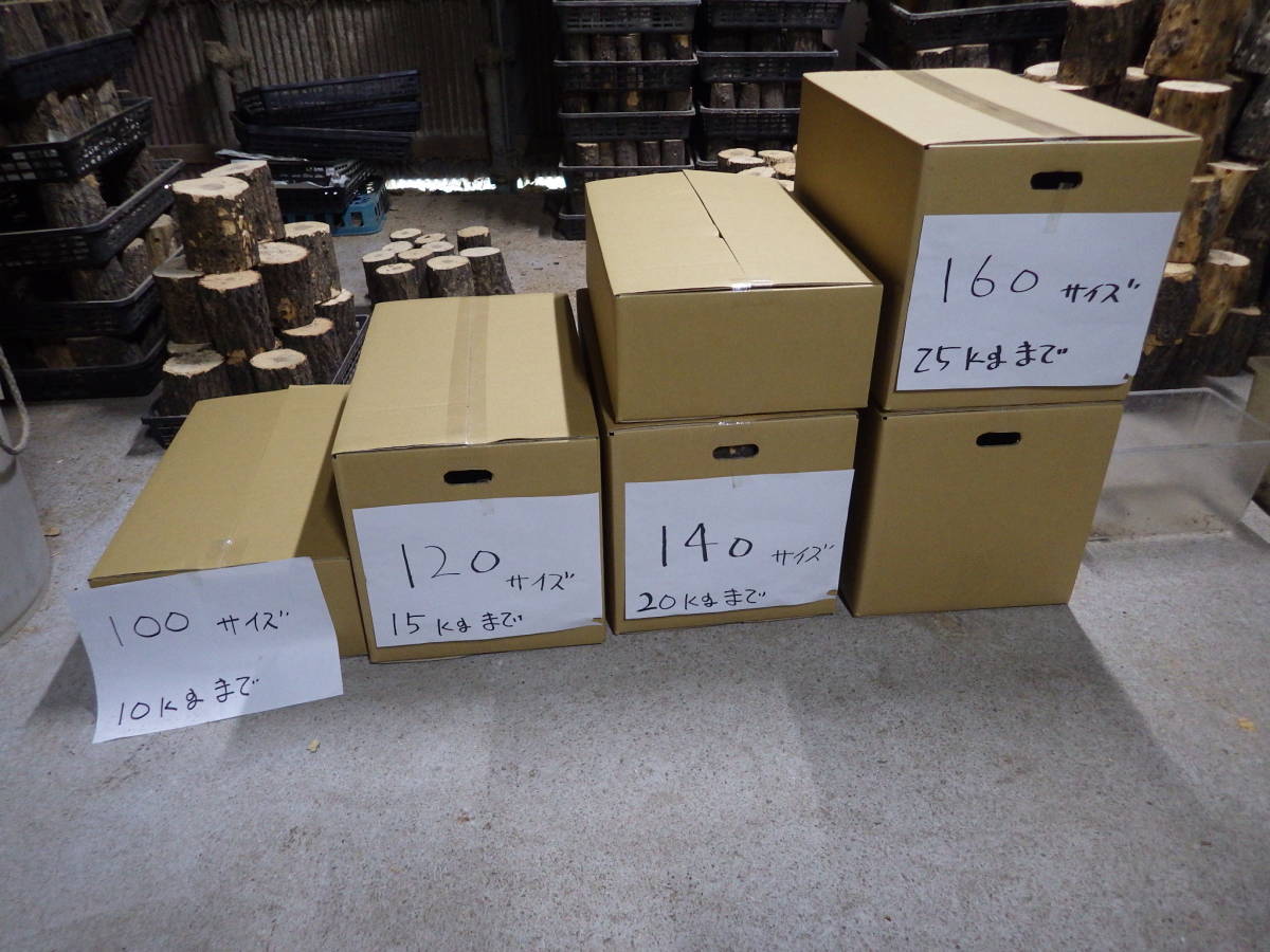  net limitation Kabuto mat 50L×1 box weight approximately 24kg 160 size * Nara prefecture POWER*1
