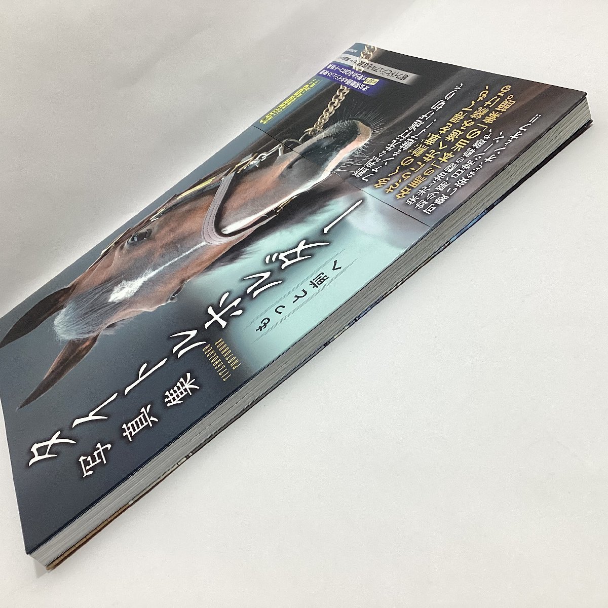 中古本　競走馬　写真集 3冊　タイトルホルダー 初版 2023年　ソダシ 2023年　メロディーレーン 2022年　廣済堂出版　帯付き　競馬　_画像3