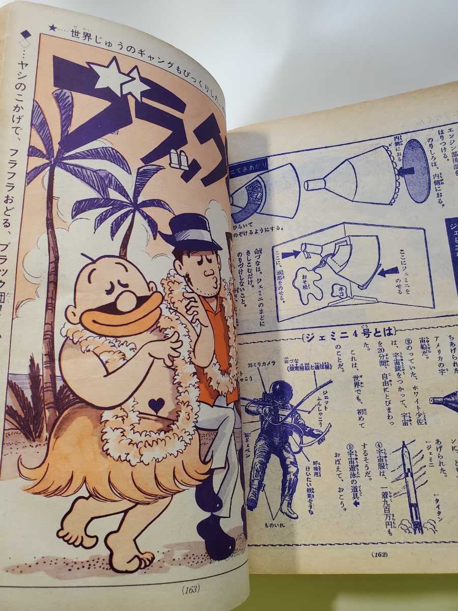 7501-11　 T 　別冊 少年サンデー 1965年 11月号　おそ松くん 少学館 _画像9