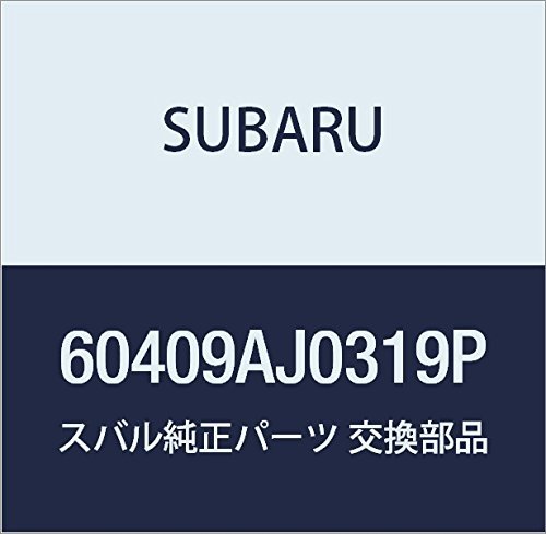 SUBARU (スバル) 純正部品 パネル アセンブリ リヤ ドア レフト 品番60409AJ0319P_画像1