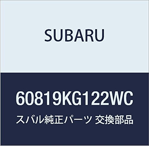 SUBARU (スバル) 純正部品 パネル リヤ ゲート R1 3ドアワゴン 品番60819KG122WC_画像1